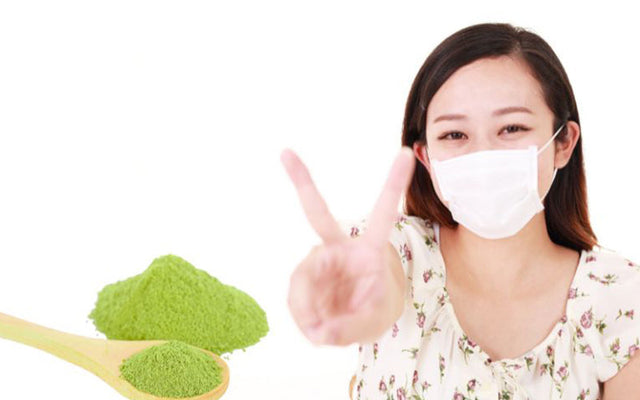 The Power of Benifuuki Green Tea for Allergies & More