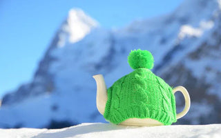 The Best Way to Keep Matcha & Green Tea is to Freeze - Green Tea Quiz