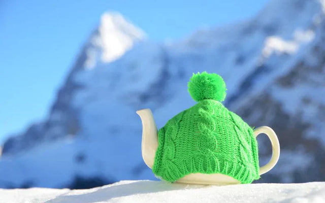 The Best Way to Keep Matcha & Green Tea is to Freeze - Green Tea Quiz