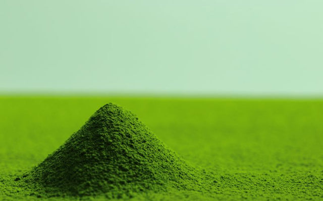 The Process Behind Your Cup of Matcha