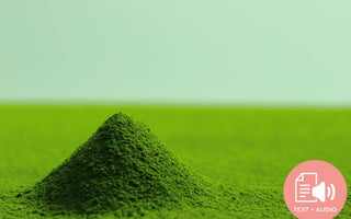The Process Behind Your Cup of Matcha