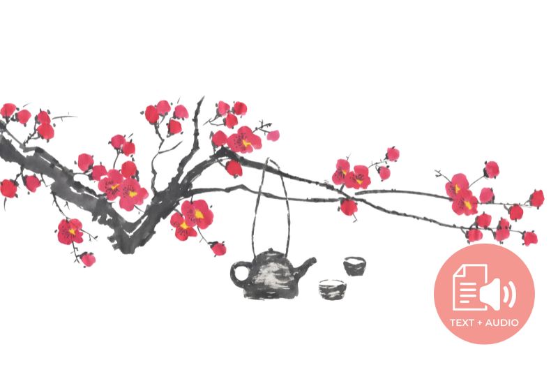 The Romance and History of Green Tea