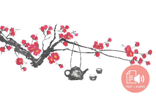 The Romance and History of Green Tea