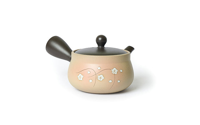 Can Teapot Make Your  Green Tea Taste Better?  - Facts About  Tokoname Teapot (常滑急須)