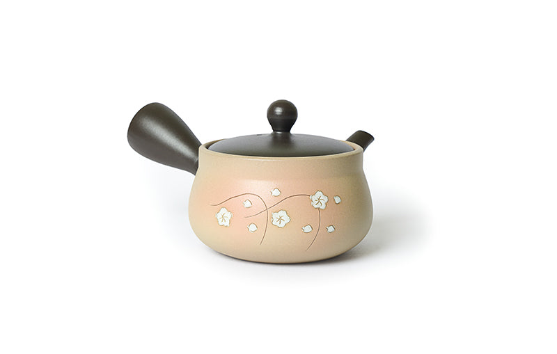 Can Teapot Make Your  Green Tea Taste Better?  - Facts About  Tokoname Teapot (常滑急須)