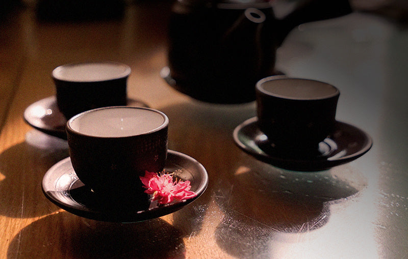 Japanese Green Tea vs Vietnamese Tea