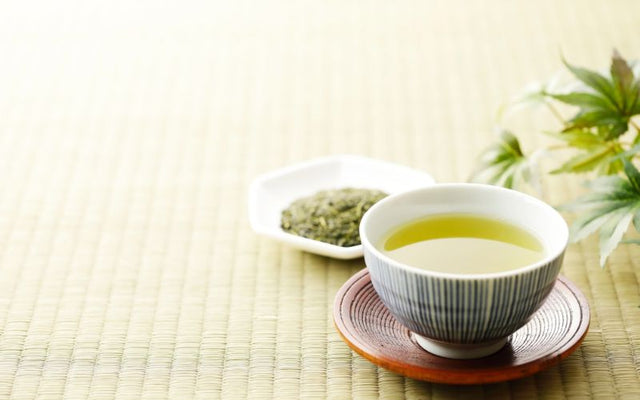 What is Shincha - New Crop Tea and What Makes them Unique?