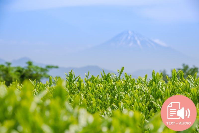 Where Different Types of Japanese Tea are Grown