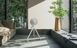 Balmuda NatureWind Studio