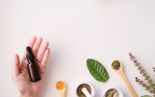 Why Is Green Tea Good For Your Immune System?