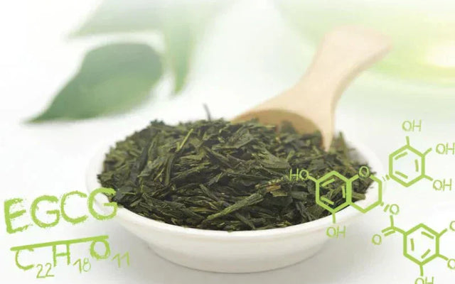Green Tea Science Part 3: Everything You Need to Know About Green Tea and Caffeine