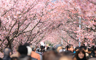 Limited Time - Get Free Ticket to Virtual Sakura Cherry Blossom Viewing - March 28 2024