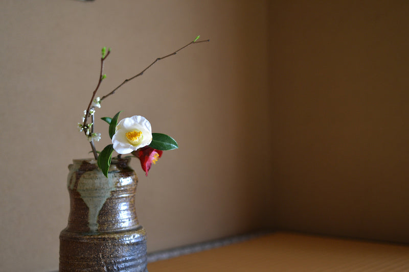 Chabana 茶花– Importance of Flower Arrangement (Ikebana) in Japanese Tea Ceremony