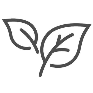 Loose Leaf Green Tea