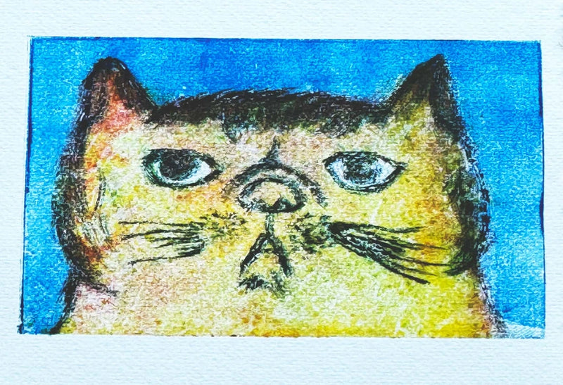 Cat Drawing by Miki