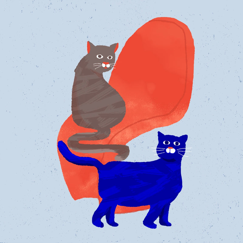 Cat Drawing by Miki