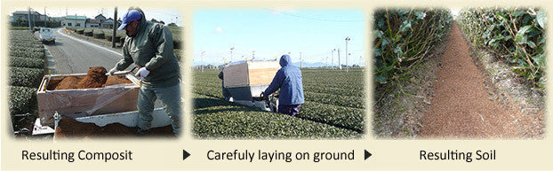 Three photos of the compost process: mixing compost in a wooden box, laying it carefully on the ground between the tea rows, and the resulting dark soil
