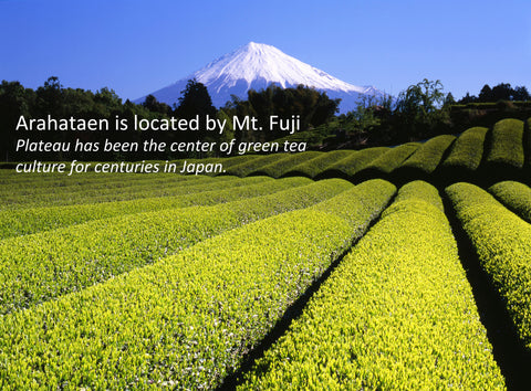 Rows of green tea fields with Mount Fuji behind, captioned Arahataen is located by Mt. Fuji