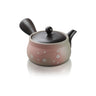 Tokonome Yaki - Kyusu - 330cc Teapot For Fukamushi Tea