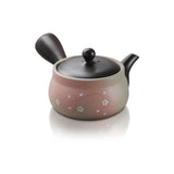 Tokonome Yaki - Kyusu - 330cc Teapot For Fukamushi Tea