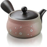 Tokonome Yaki - Kyusu - 330cc Teapot For Fukamushi Tea