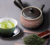 Tokonome Yaki - Kyusu - 330cc Teapot For Fukamushi Tea