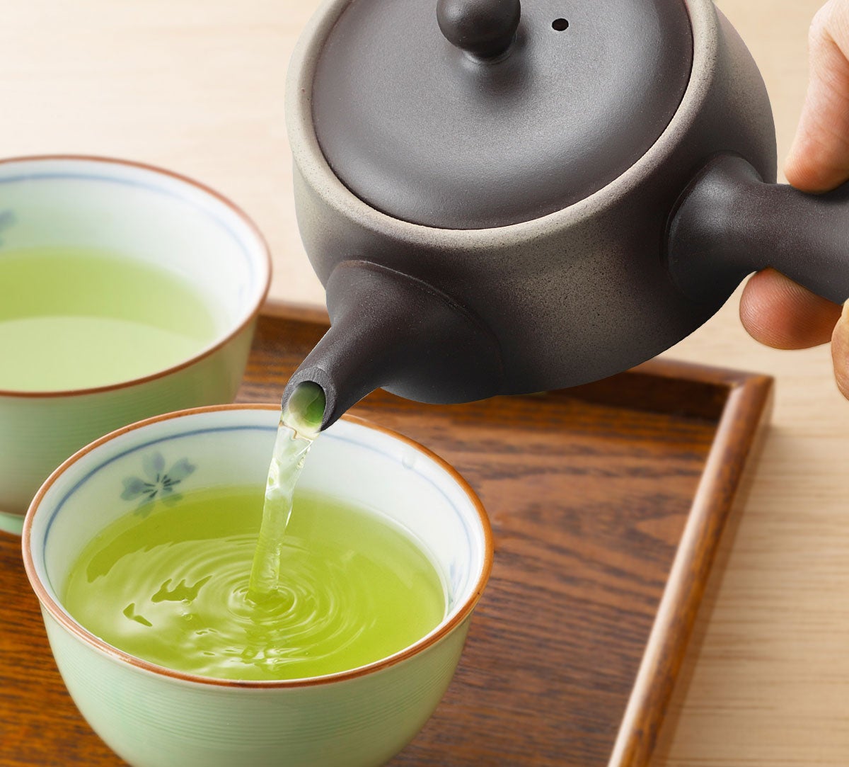Tokoname Yaki - Kyusu - 11 Oz (330cc) Teapot for Fukamushi tea